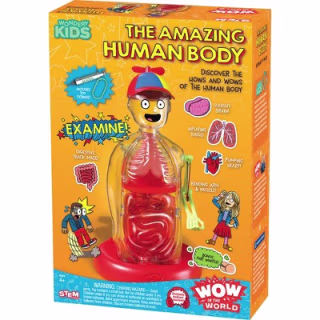 Thames & Kosmos Wow in the World: The Amazing Human Body
