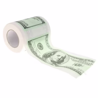 $100 Dollar Money Printed Toilet Paper Roll