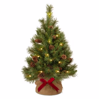 The Holiday Aisle 3-ft. Pine Cone Tree