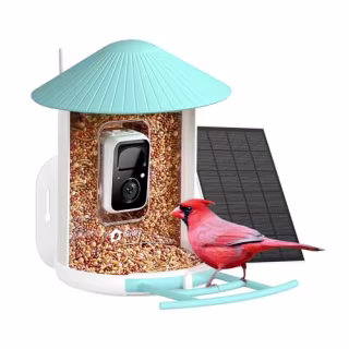 Birdfy Smart Bird Feeder