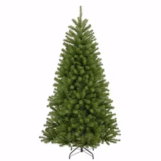 National Tree Company North Valley Spruce