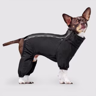 Canada Pooch The Snow Suit