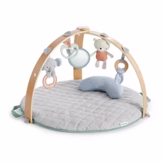 Ingenuity Cozy Spot Duvet Activity Gym
