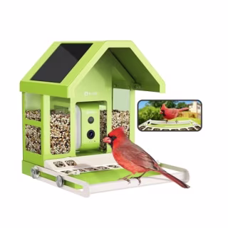 Birdfy Smart Bird Feeder