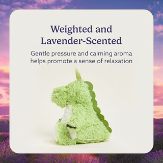 warmies Microwavable & Weighted Stuffed Animals