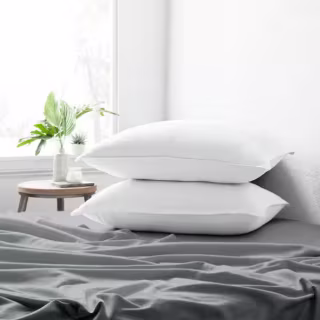 Becky Cameron Plush Down Alternative Gel-Fiber Queen Pillows (2-Pack)