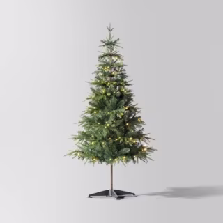 Wondershop Pre-Lit LED Balsam Fir Artificial Christmas Tree (5.5 Foot)