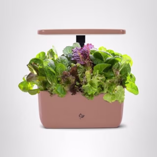 AeroGarden Harvest Lite