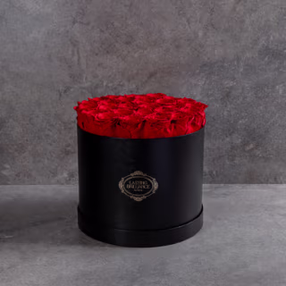 Lasting Brilliance 2-Dozen Roses In Black Box