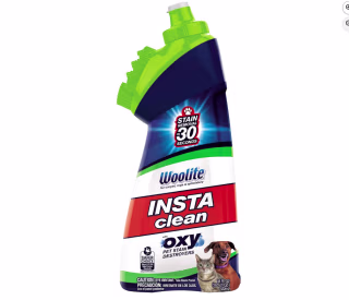 Woolite InstaClean Pet with Brush Head Cleaner