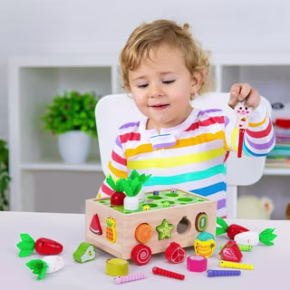 Montessori Carrot Wheels