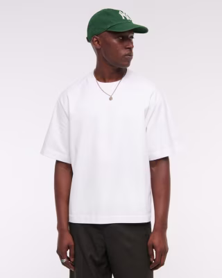 Abercrombie & Fitch Men's Premium Heavyweight Tee