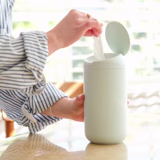 Biom Standard Hand Sanitizing Wipes