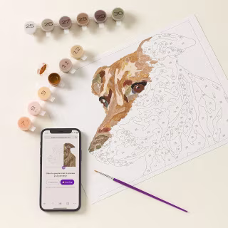 Uncommon Goods Paint Your Pet By Number Portrait Kit