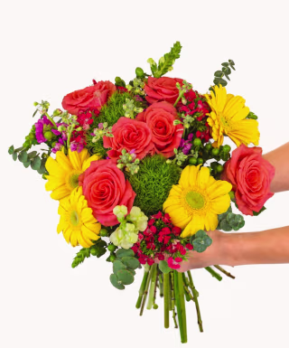 Bloomsybox Field of Sunshine