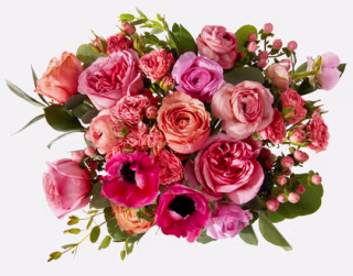 Urbanstems The Dreamscape