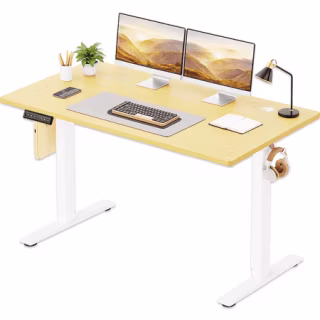 Concetta Electric Standing Desk Height Adjustable Desk