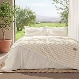 Bedsure Gentlesoft 2-in-1 Queen Comforter Set