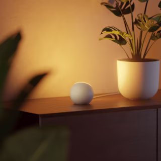 Oasis Single Ambient Light