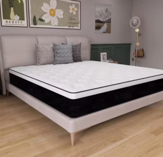 Alwyn Home Medium Hybrid Mattress