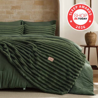 Bedsure Gentlesoft 2-in-1 Queen Comforter Set