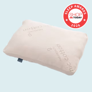 Naturepedic Organic Shredded Latex Pillow