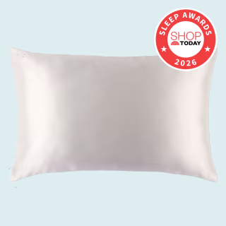 Slip The Original Queen Pure Silk Pillowcase