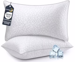 Cozsinoor Cooling Standard Pillows