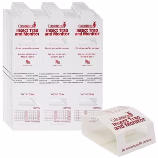 Catchmaster Spider & Insect Glue Traps