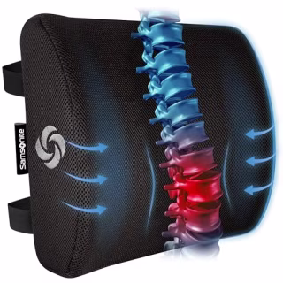 Samsonite Memory Foam Lumbar Support Pillow