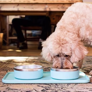 Trot Pets Stainless Steel Bowl Set