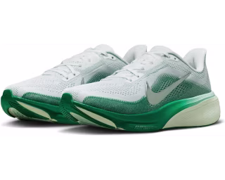 Nike Pegasus 42