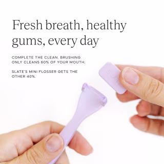 Slate Mini Flosser