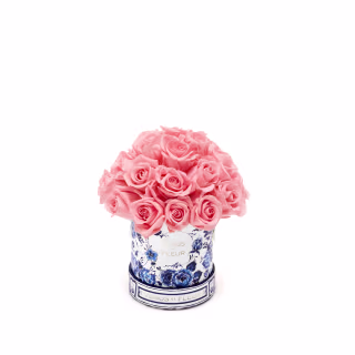 Venus et Fleur Mini Le Plein