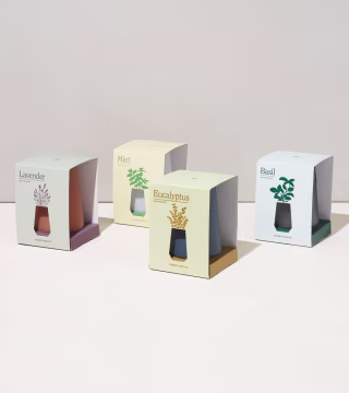 Modern Sprout Tapered Tumbler Grow Kits