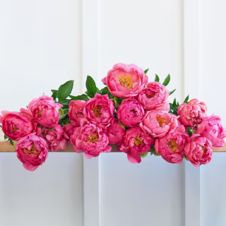 Farmgirl Flowers Twenty Pink Peonies