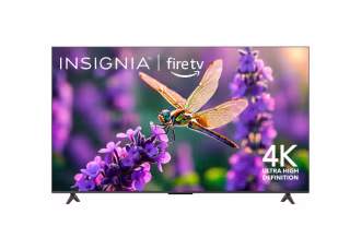 Insignia Class F50 Series 65-Inch TV (2025)