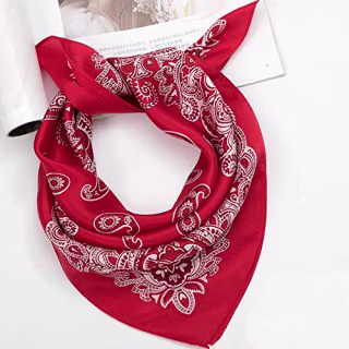 Andantino Mulberry Silk Scarf