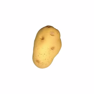 Alpi Potato Foam Squishy