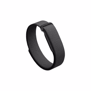 Google Fitbit Air