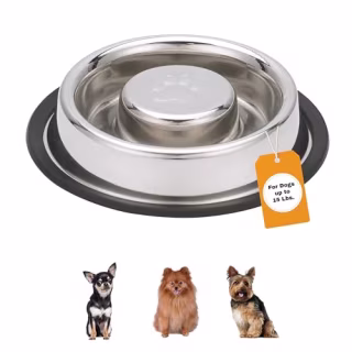 Neater Pet Brands Non-Tip Stainless Steel Slow Feed Bowl