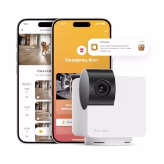 Petcube Cam 360