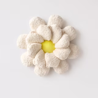Hooray House Daisy Snuffle Dog Mat