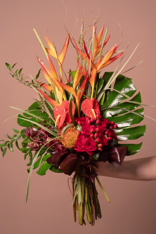 The Broquet
