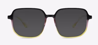 Sunlit frames