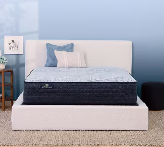 Serta Perfect Sleeper Nurture Night Plush 13.5 in. Mattress
