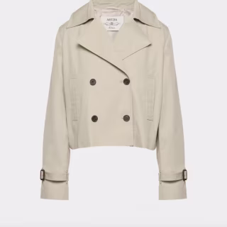 Aritzia The Esquire Short Trench Coat