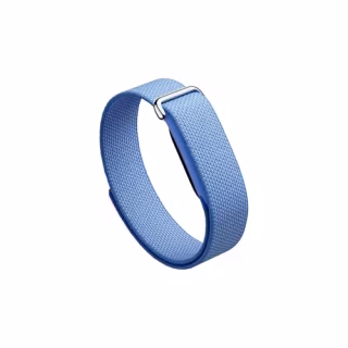 Google Fitbit Air 