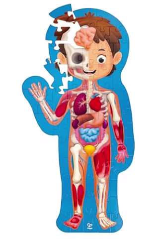 Hape Human Body Puzzle