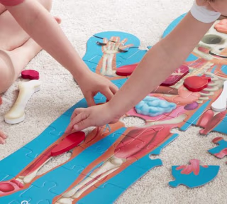 Hape Human Body Puzzle